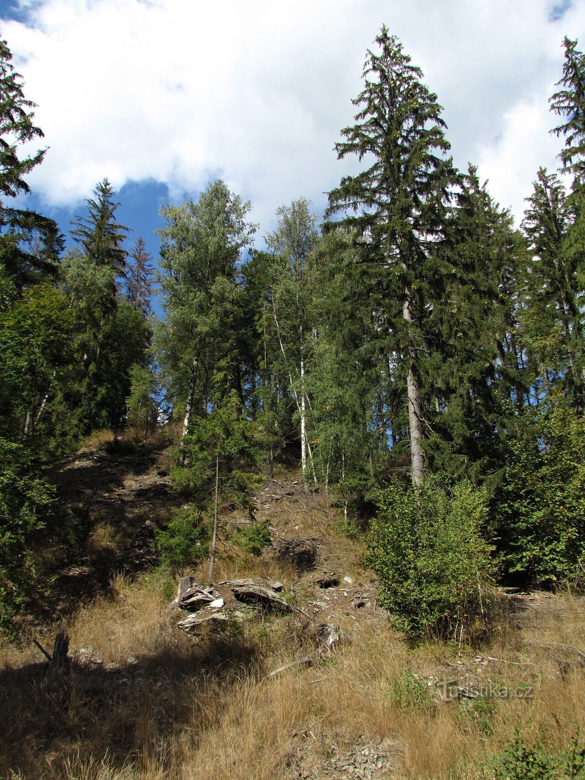 Pisten und die Spitze von Měděnec