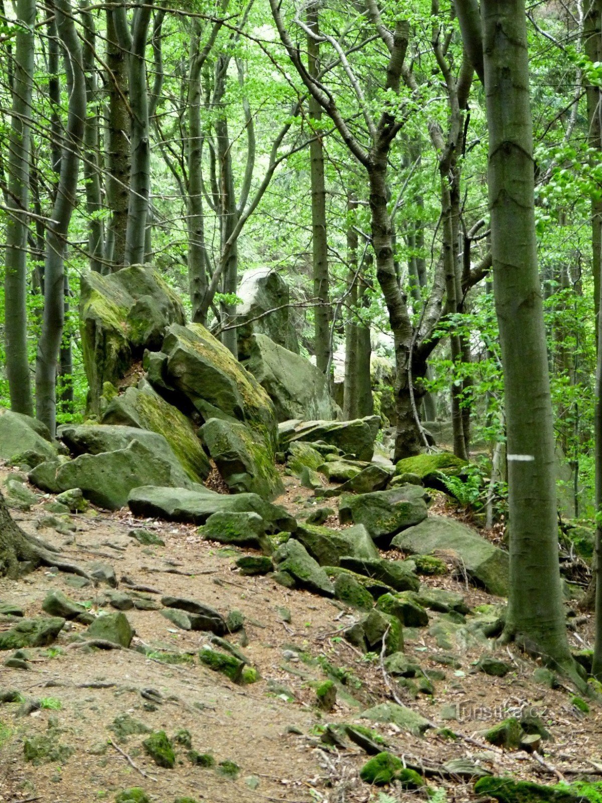 Svantovítova skála - Naturdenkmal