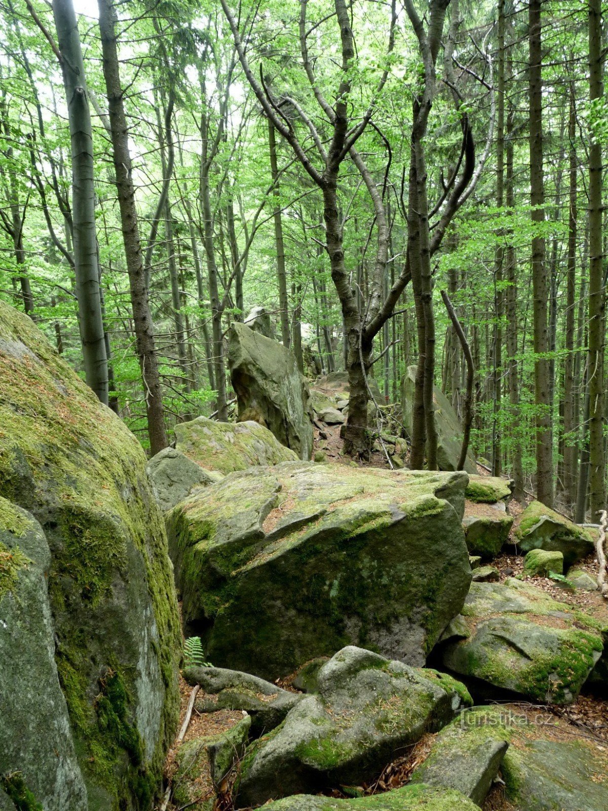 Svantovítova skála - Monument al naturii