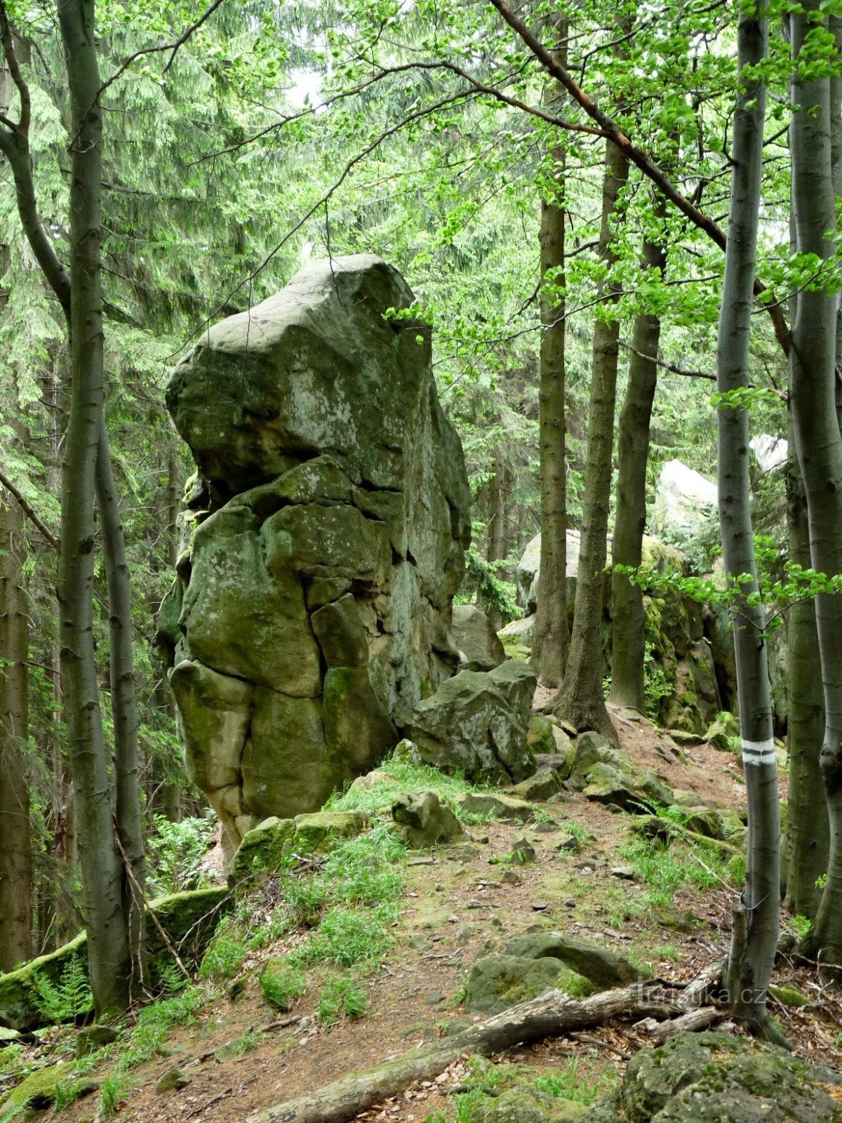 Svantovítova skála - Monument al naturii