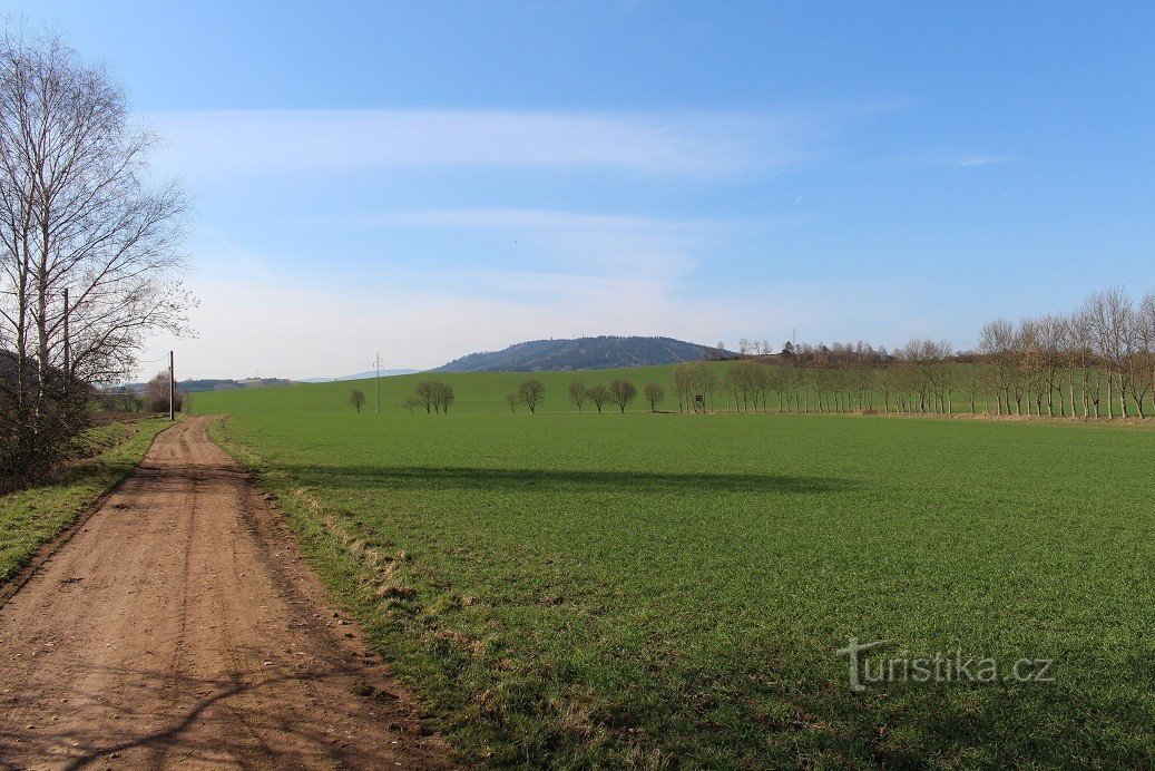 Svatobor von der Straße nach Dalovický rybník