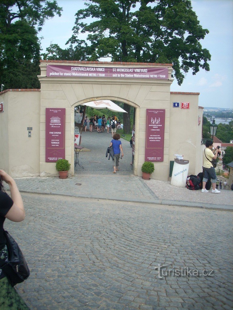 Vignoble Saint-Venceslas