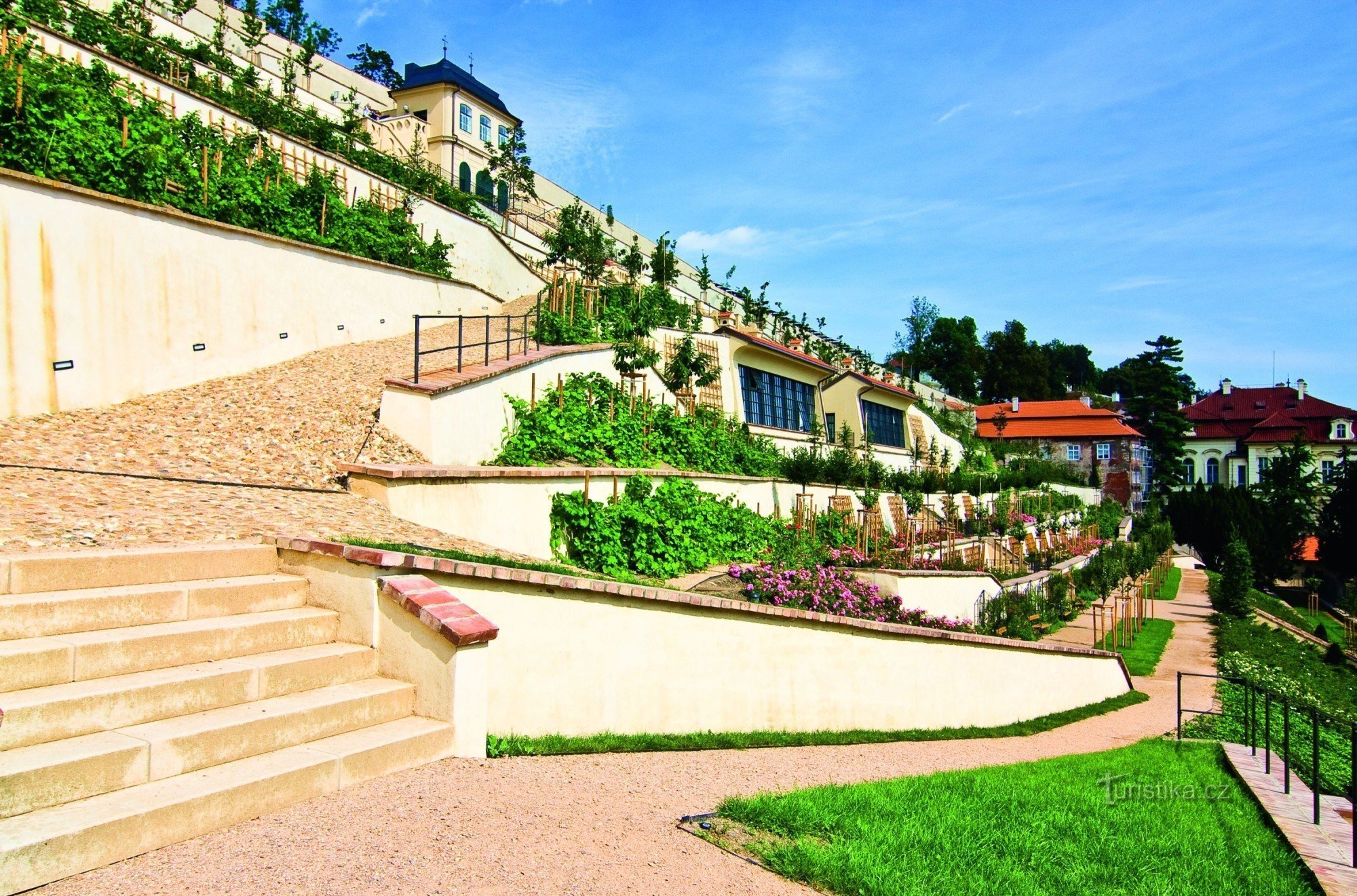 Vignoble Saint-Venceslas au Château de Prague