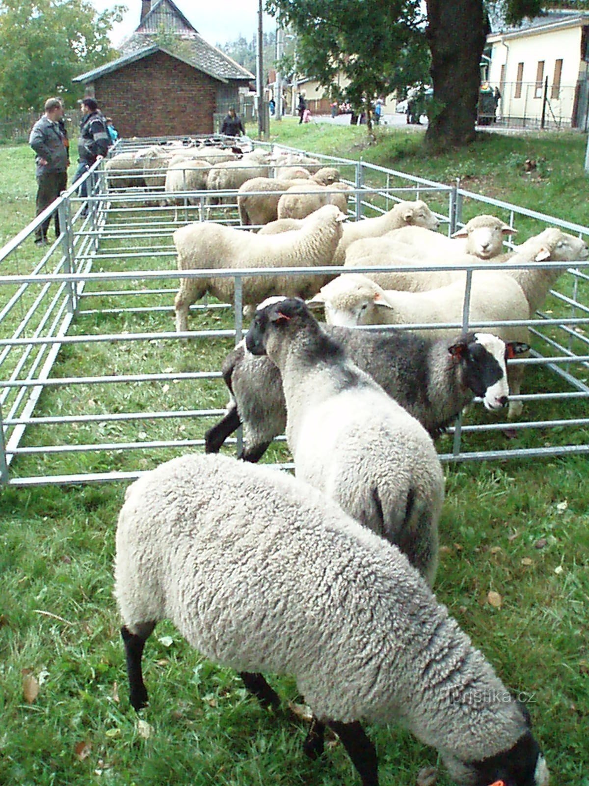 Marché Saint-Venceslas à Pěnčín 28.9.2012