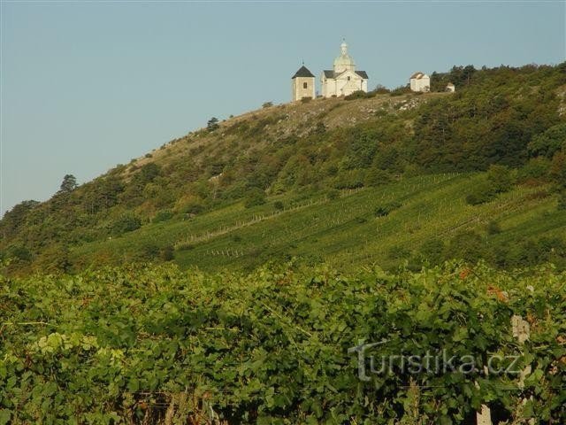 Sf. Kopeček lângă Mikulov: Pe unul dintre dealurile de calcar de deasupra lui Mikulov (www.mikul