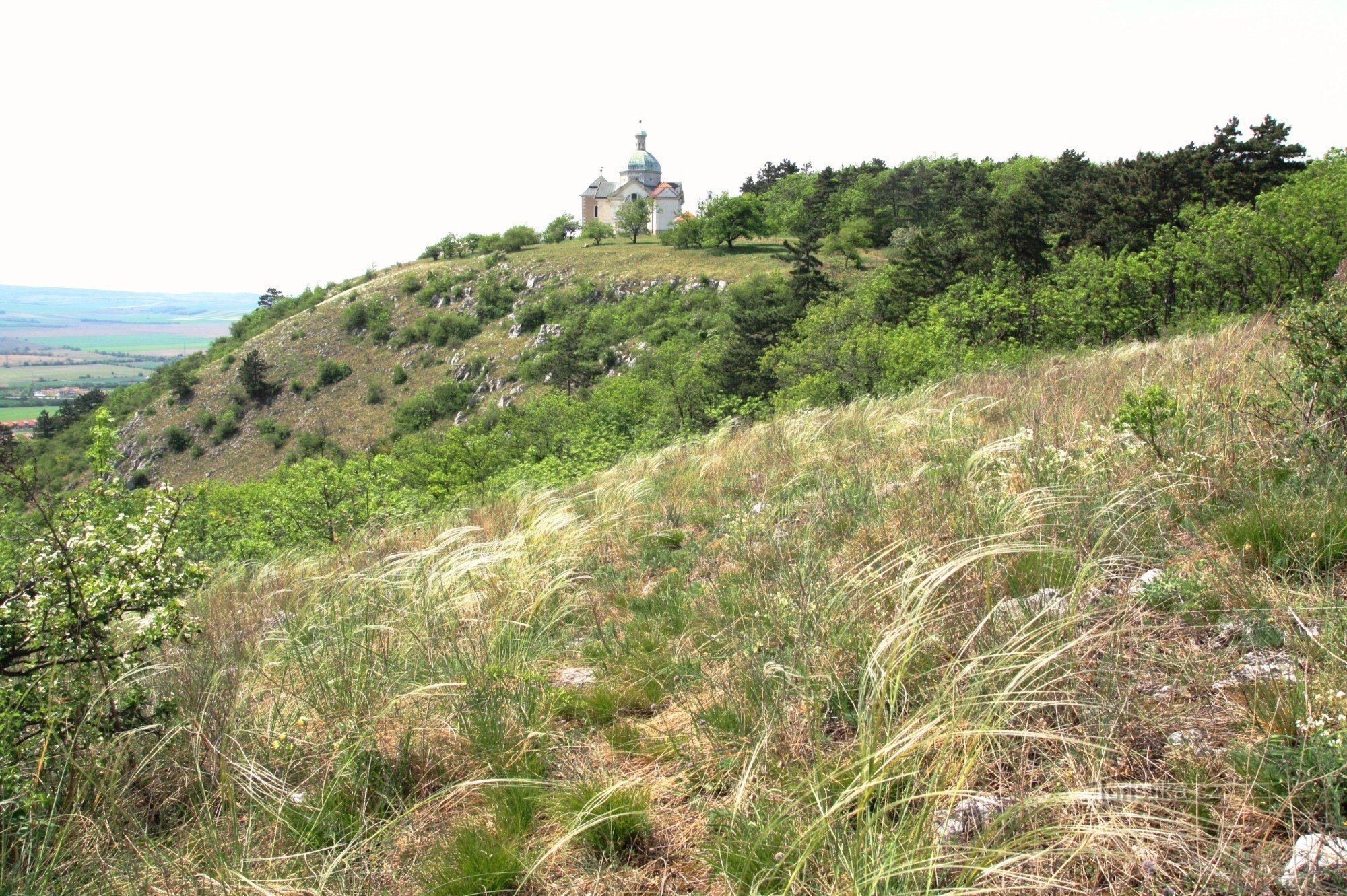 Monticule sacré à la fin du printemps