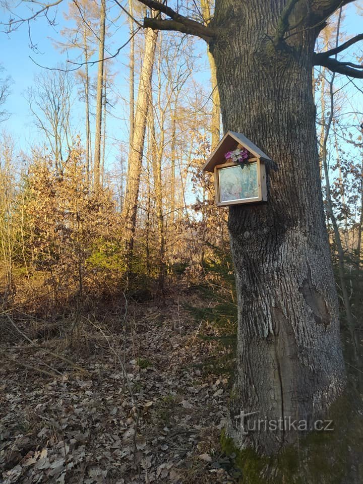 Image sainte dans la forêt