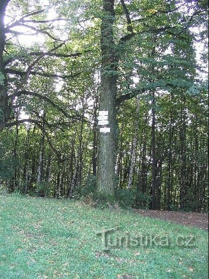 Saint Roch - signpost