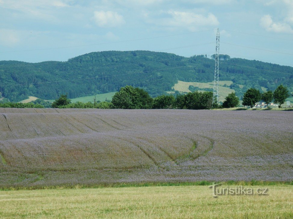 Rope rope in the Moravskotřebovsk basin