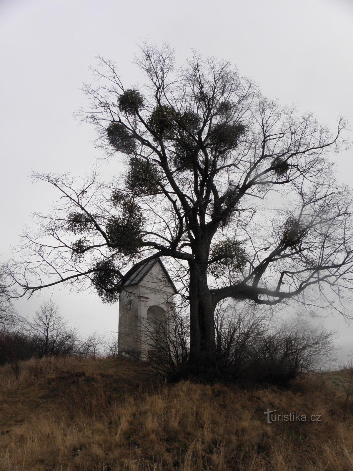 Švedska kapela - 1.1.2012