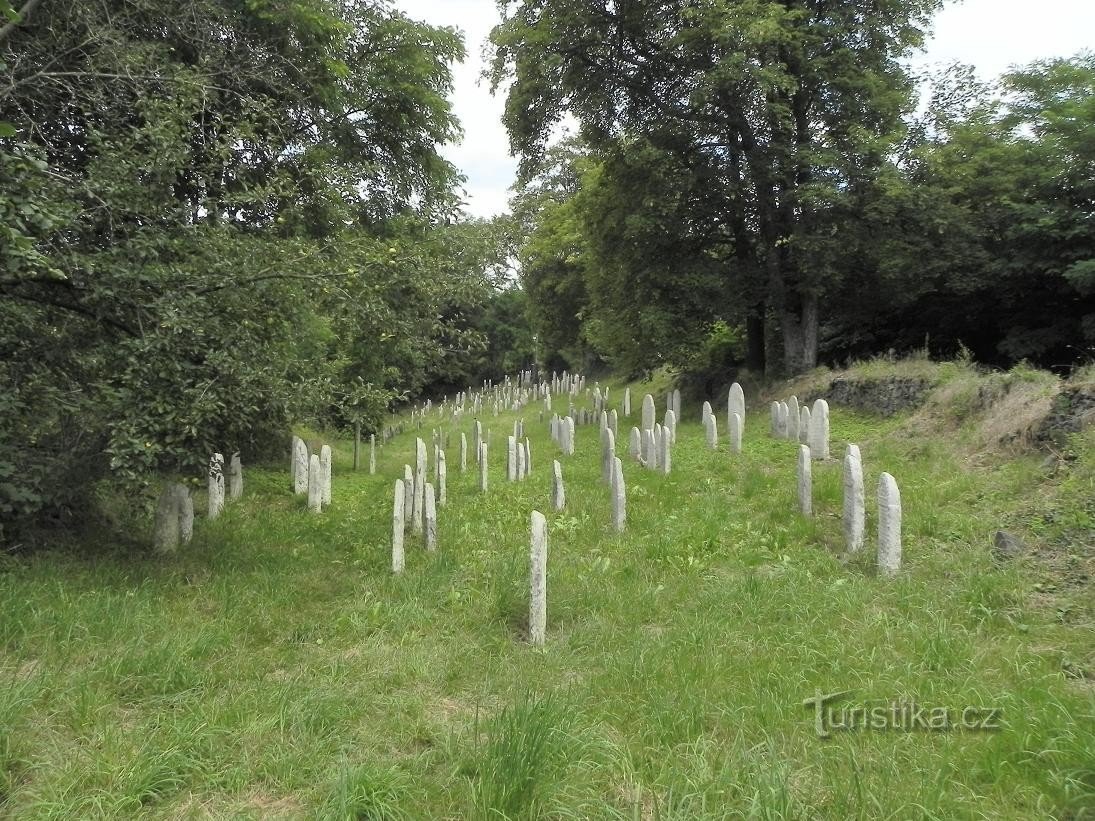 Švihov, Gesamtansicht des alten jüdischen Friedhofs