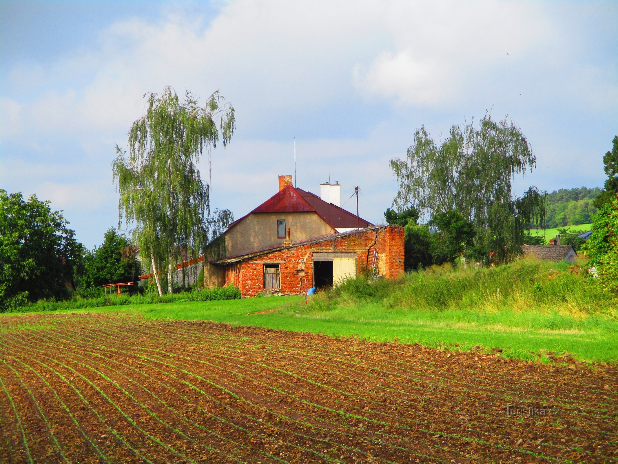 Svinišťany nr. 11 (29.8.2022)