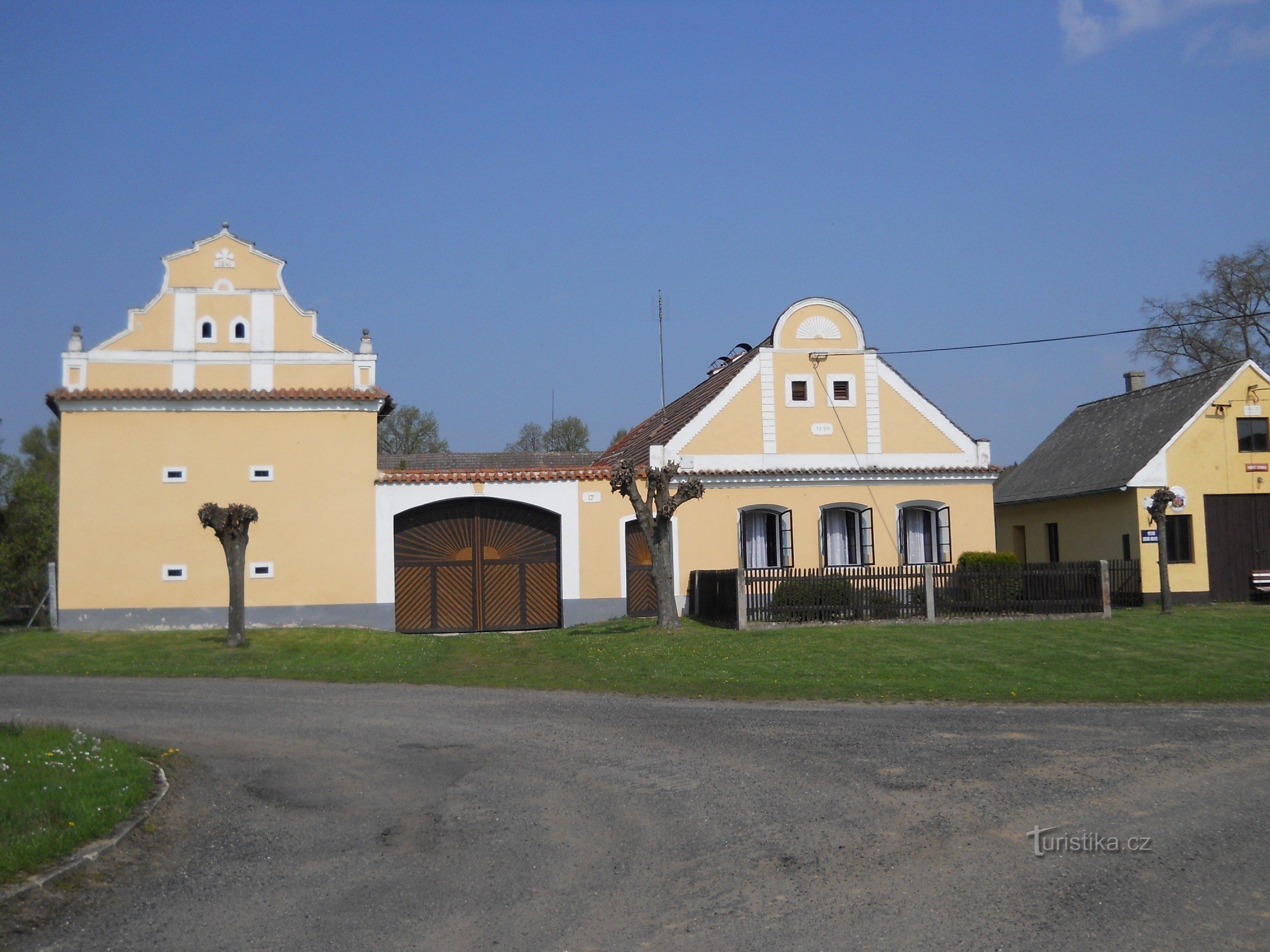 свині