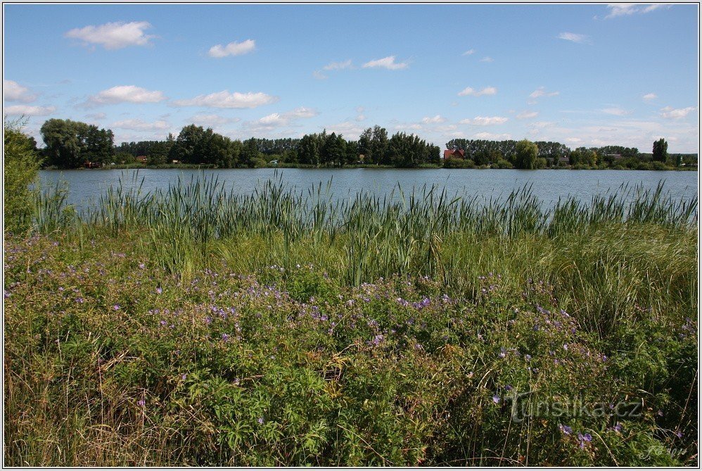 Svitavský (Lower) pond