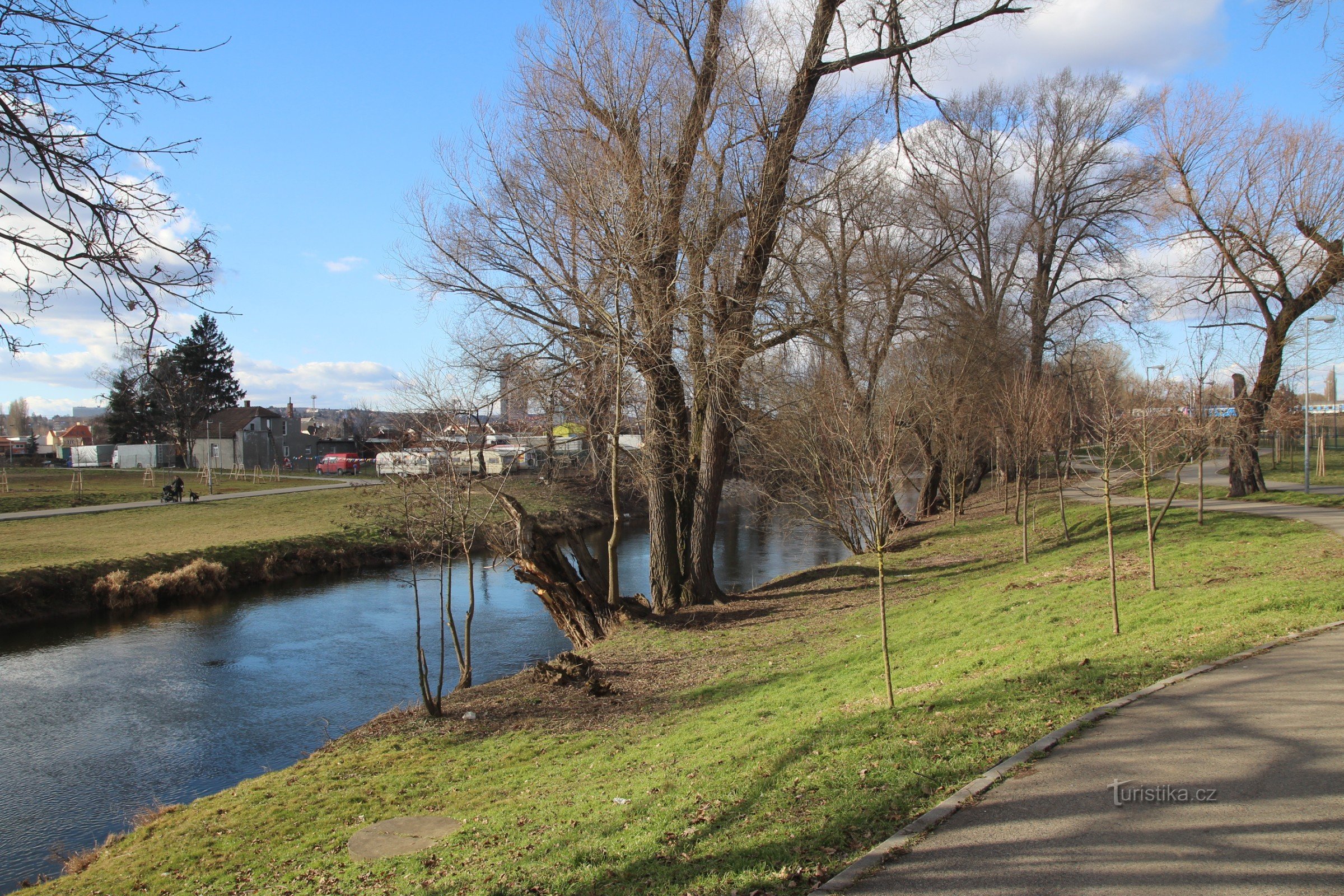 Svratka under the Heršické bridge