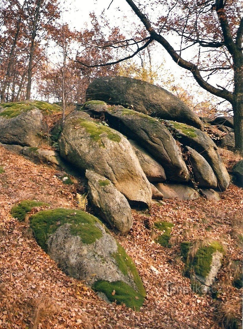 Syenitové skály u Pocoucova