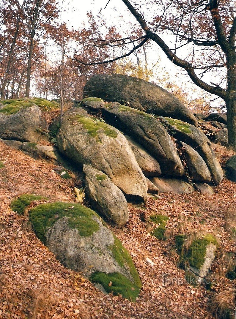 Syenitové skály u Pocoucova