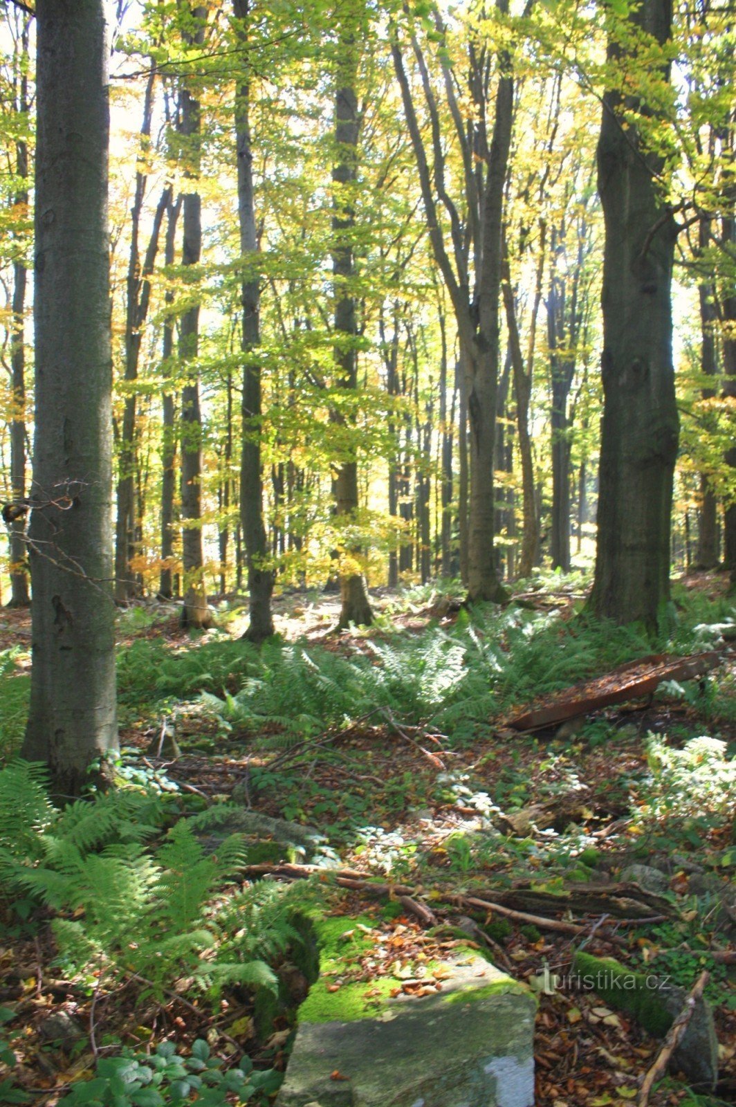 Sýkoř - the oldest part of the site