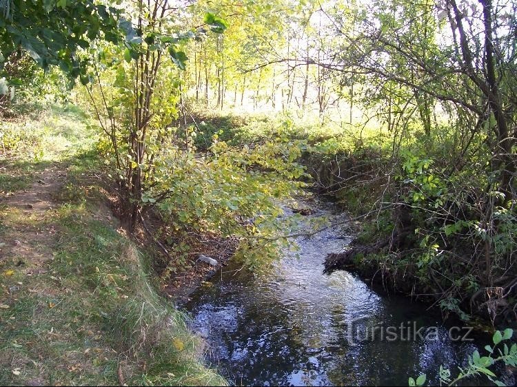 Sýkoreček : vue sur le ruisseau