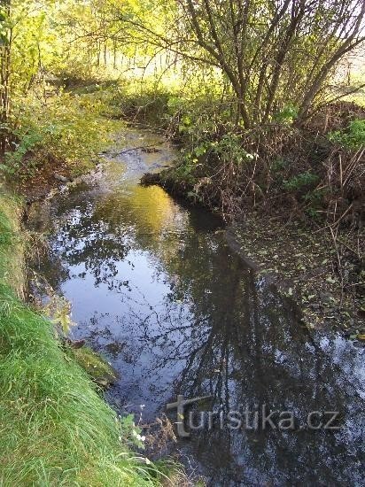 Sýkoreček : vue sur le ruisseau