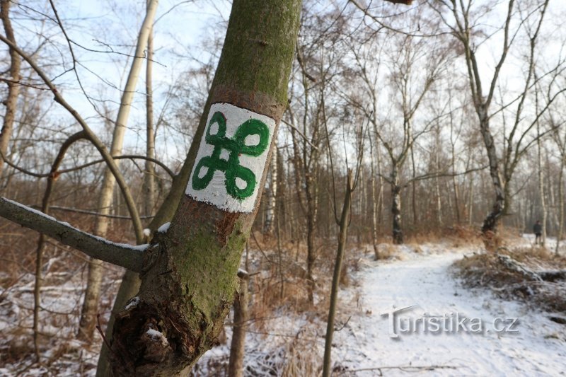 Symbol der bunten Wanderwege