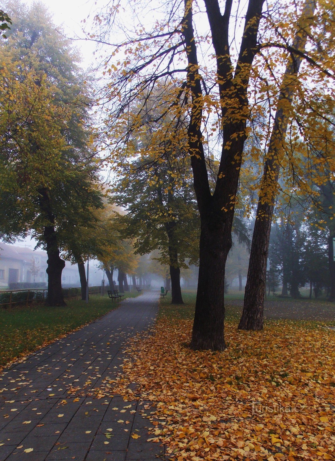 Zsinagóga a városi park közelében Kojetínban