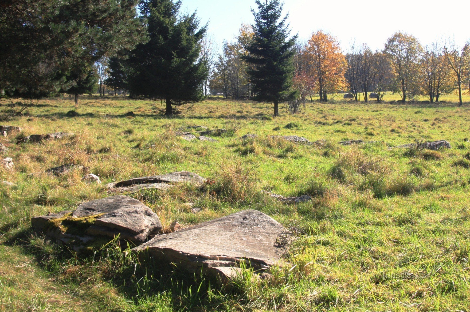 Săpăturile Synalov - un monument al naturii