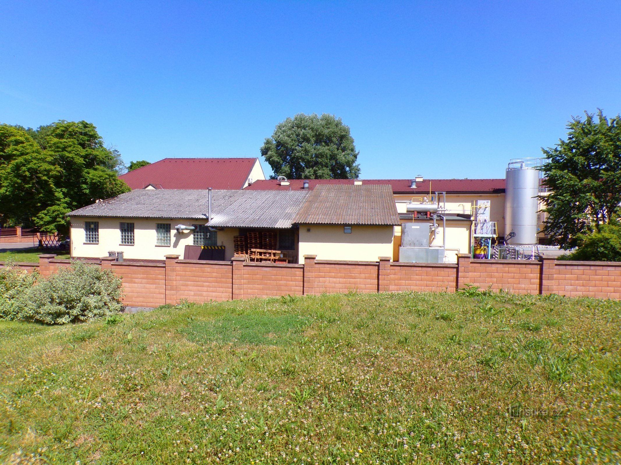 Cheese shop (Dolní Přím, 18.6.2022)