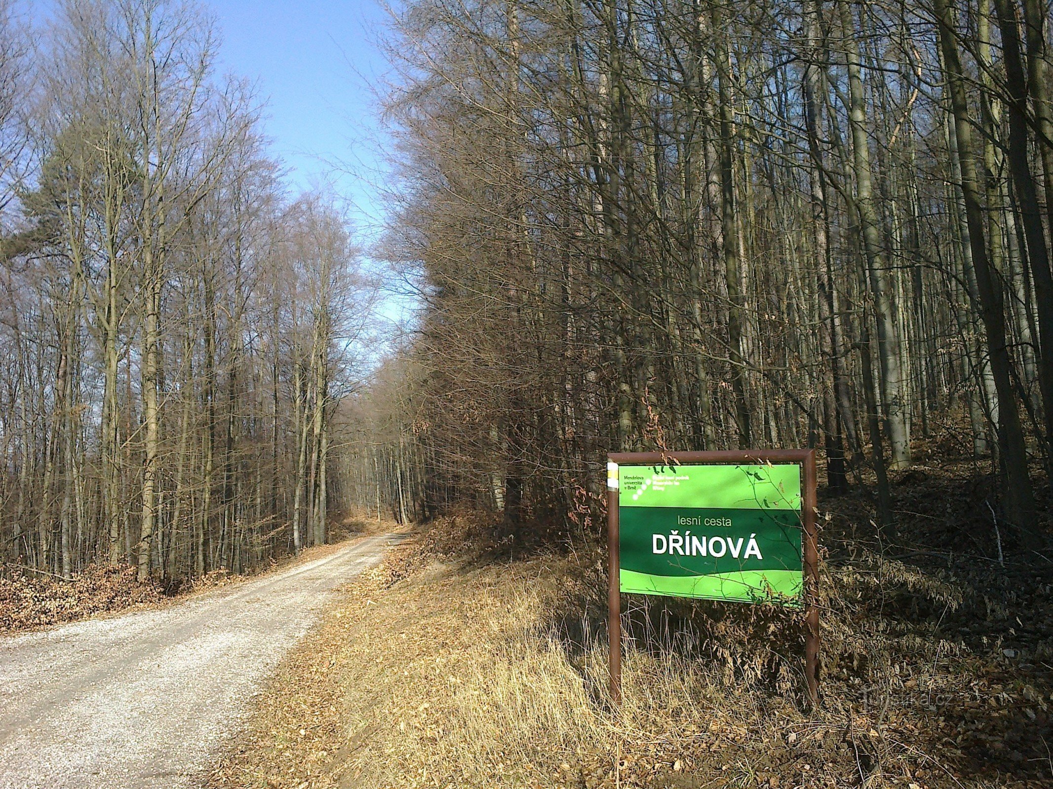 Das Waldwegesystem der Schule und des Forstbetriebs Křtiny