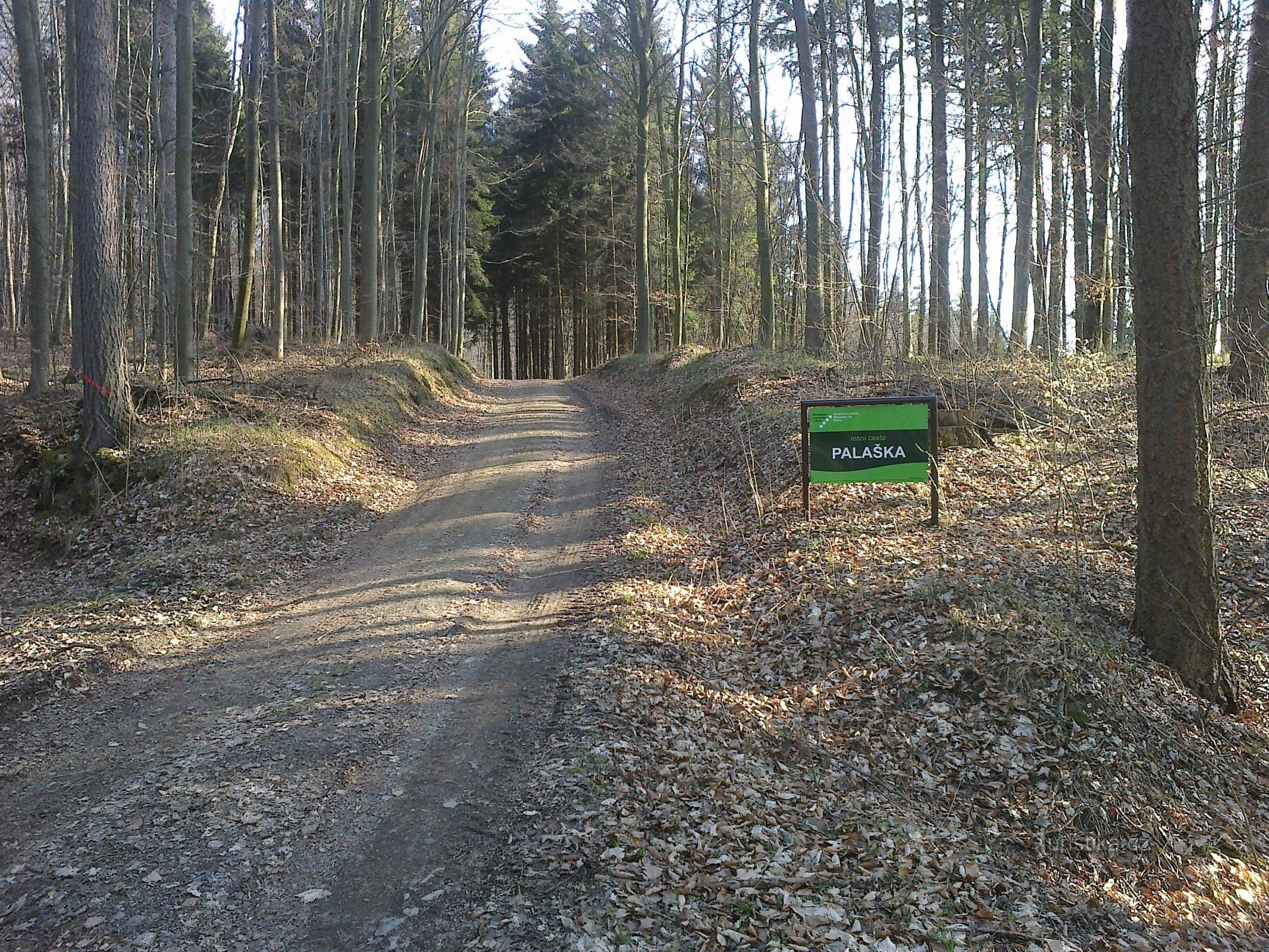 O sistema de caminhos florestais da Escola e Empresa Florestal de Křtiny