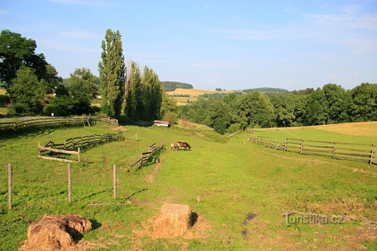 Campo Prosenice