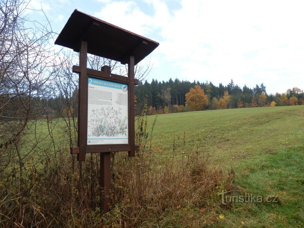 Board nr. 2 bij de weide