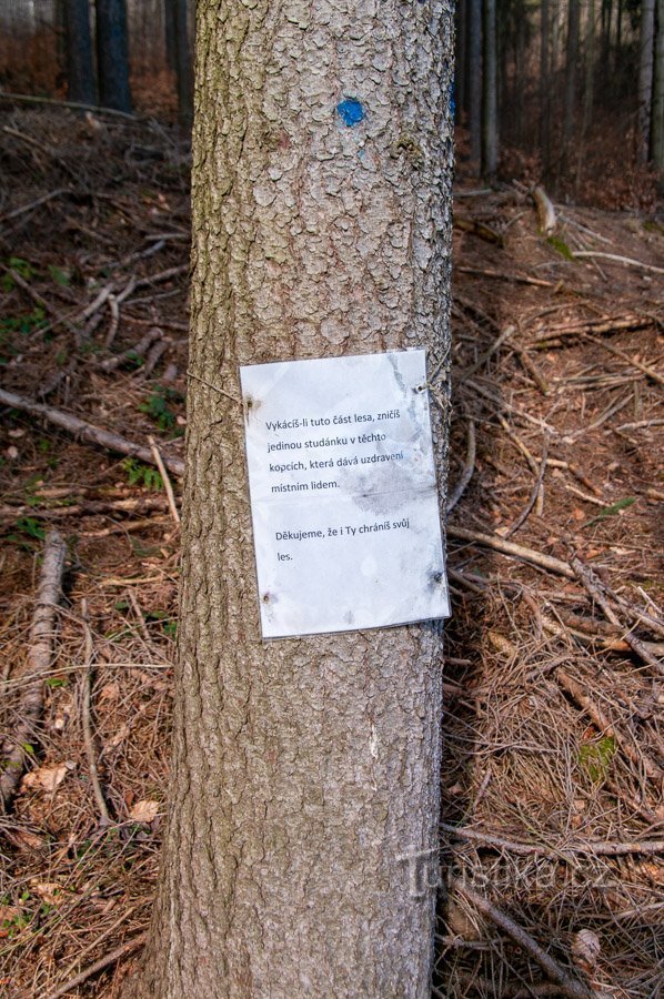 Tabelul încurajează conservarea pădurii