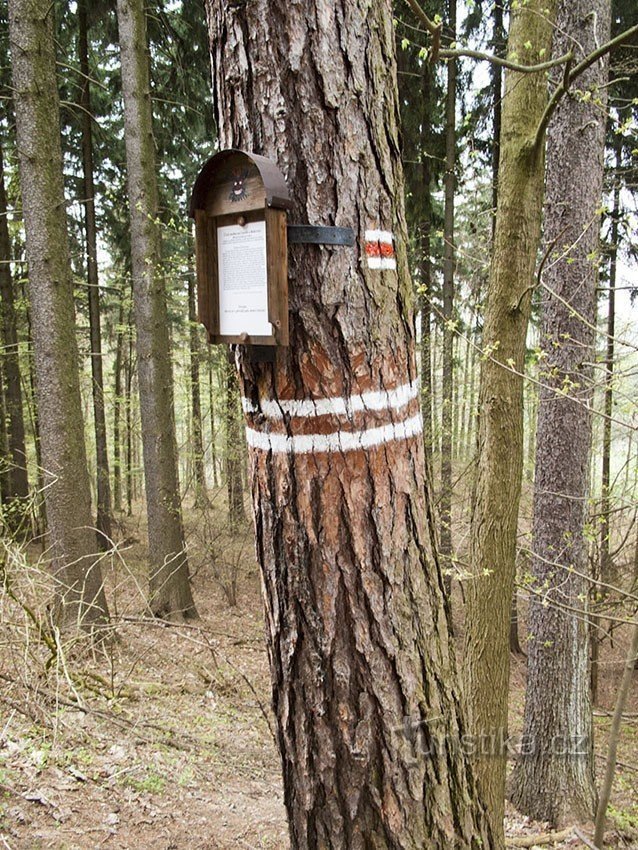 Tisch am Weg oberhalb des Felsens