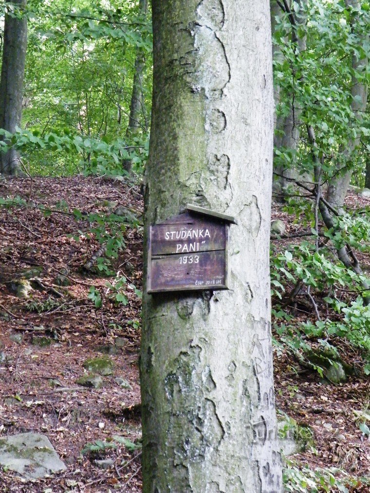 Table by the well