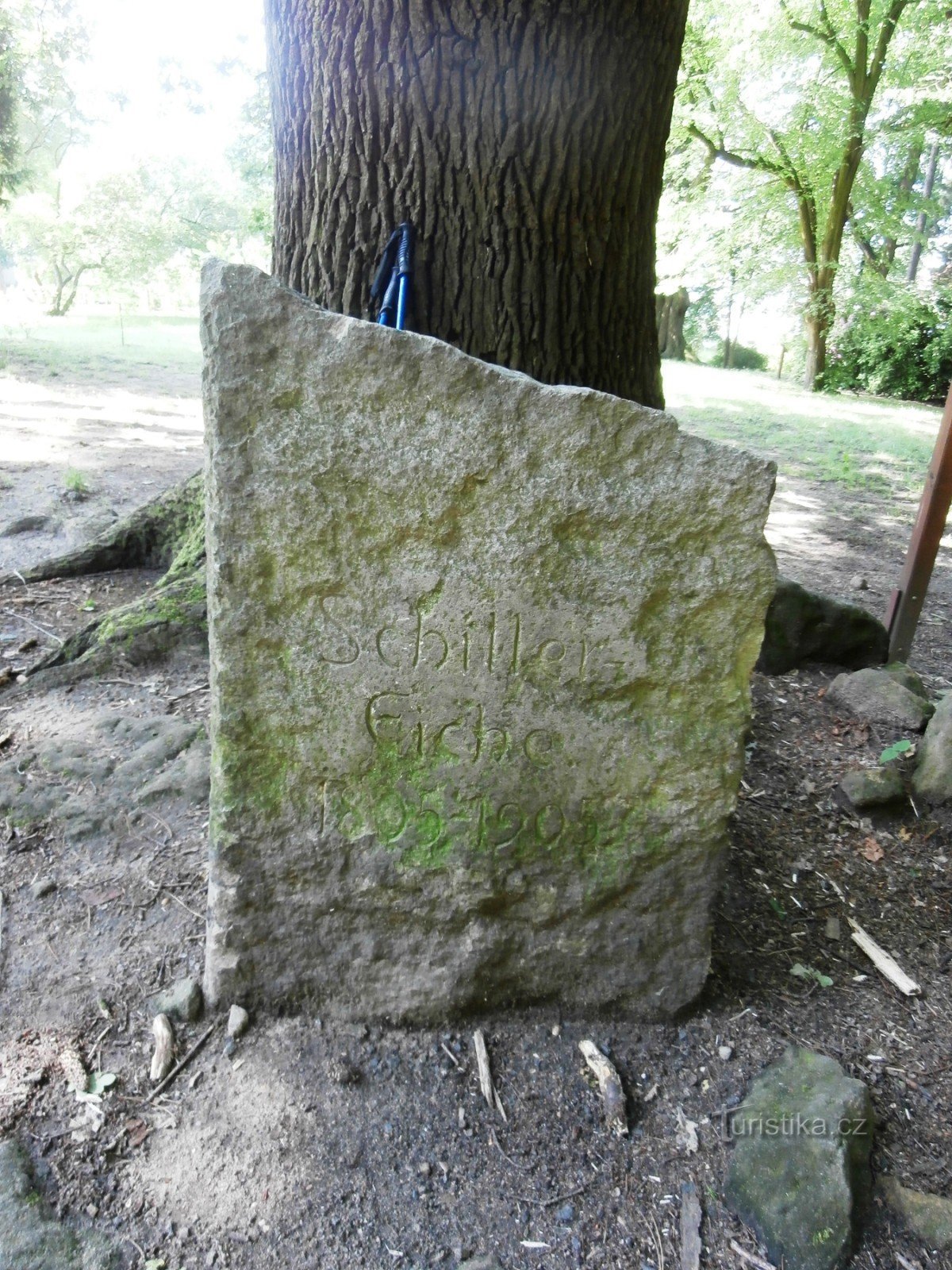 Hier staat de eik van Schiller, geplant op 27.4.1905-100-XNUMX voor de XNUMXste verjaardag van zijn dood.