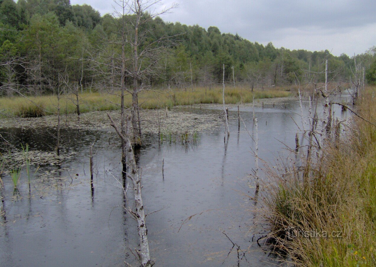 Geheimnisvoller Borkovická-Schlamm