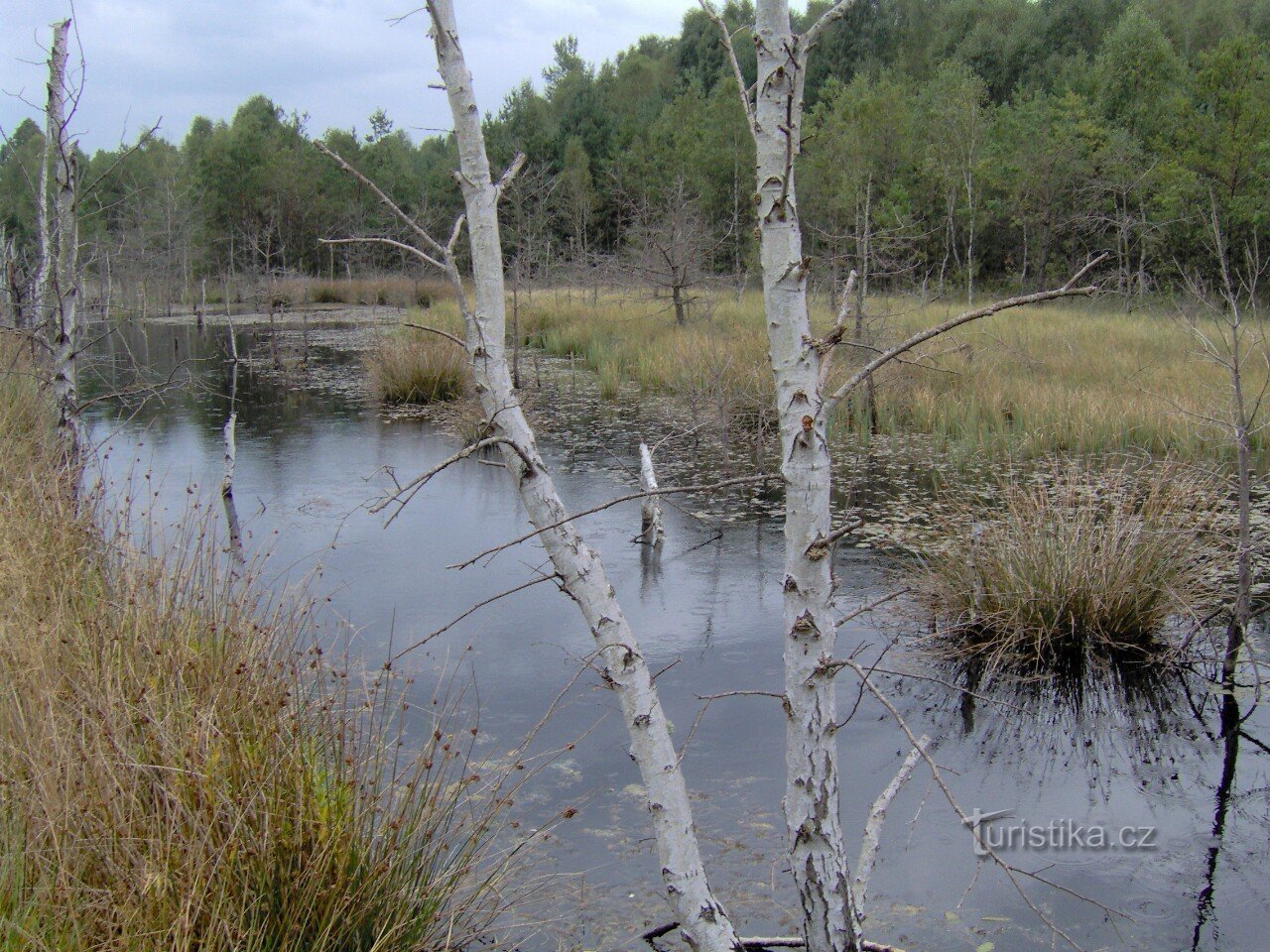 Geheimnisvoller Borkovická-Schlamm