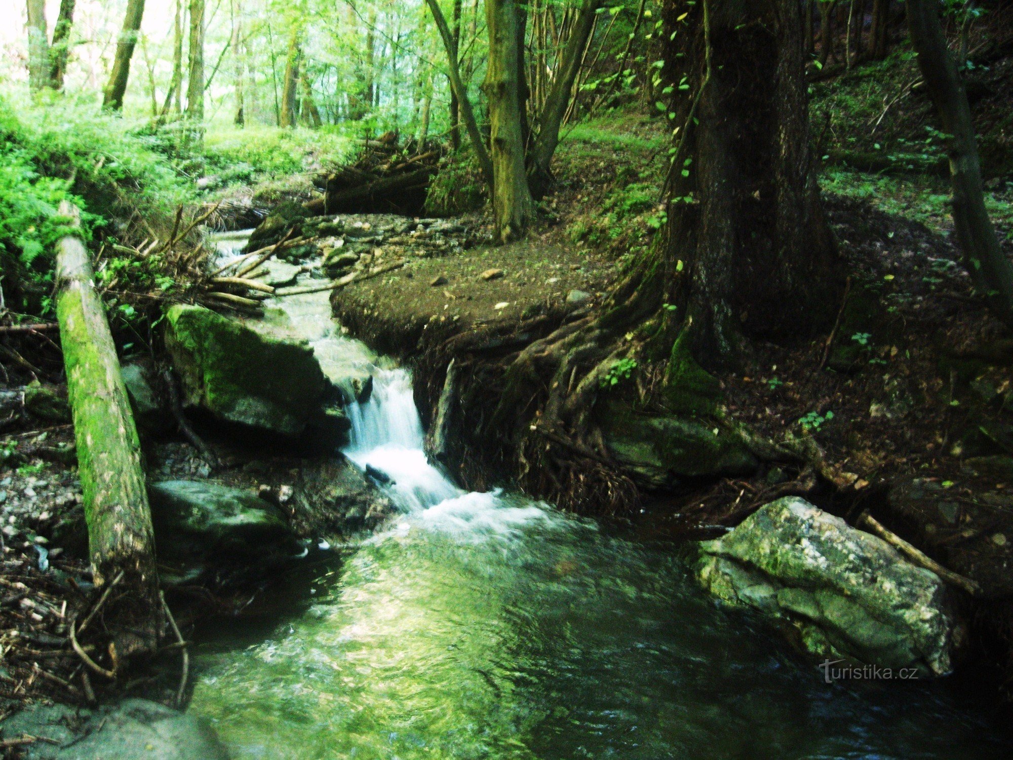 The mysterious ravine in front of Mladoňov