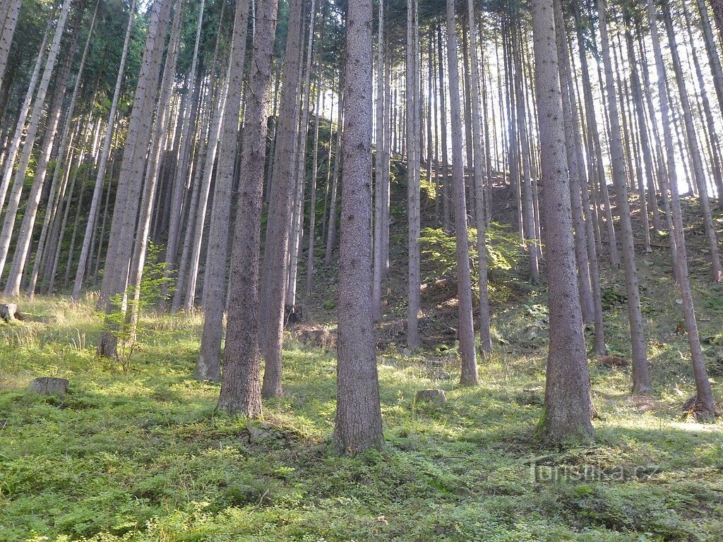 The mysterious extinct hillfort Bílá.