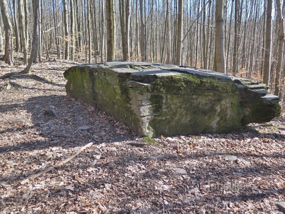 Der geheimnisvolle Altarstein könnte auch ein Opferstein gewesen sein (Rídeč u Šternberk)