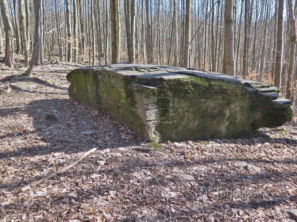 The mysterious Altar stone could also have been a sacrificial stone (Rídeč u Šternberk)