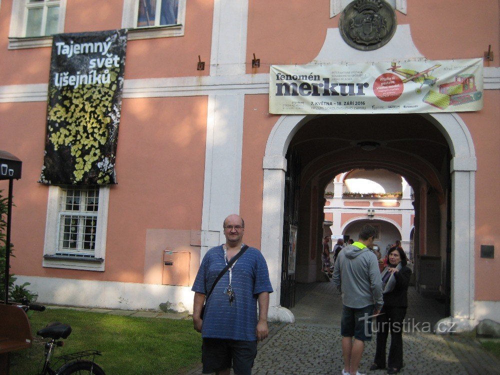 The mysterious world of lichens - Sokolov Museum