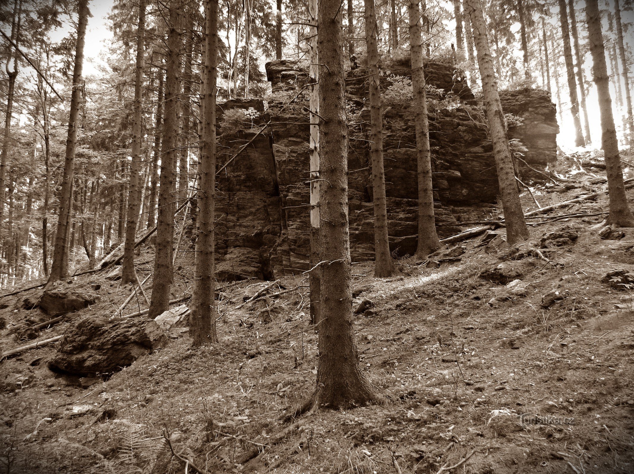 Secretele rezervației naturale Franz-Franz