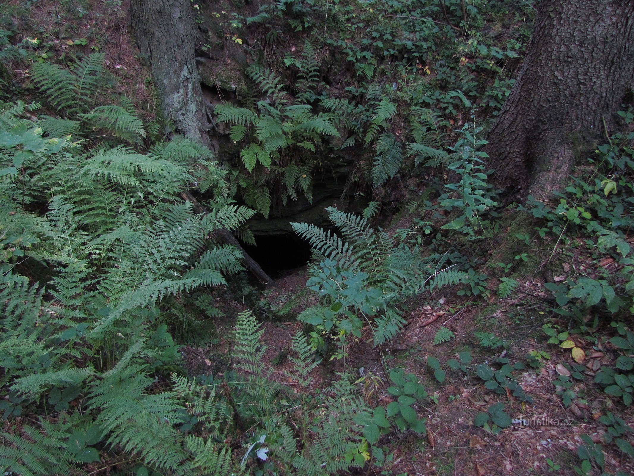 Hemmeligheder i Franz-Franz naturreservat