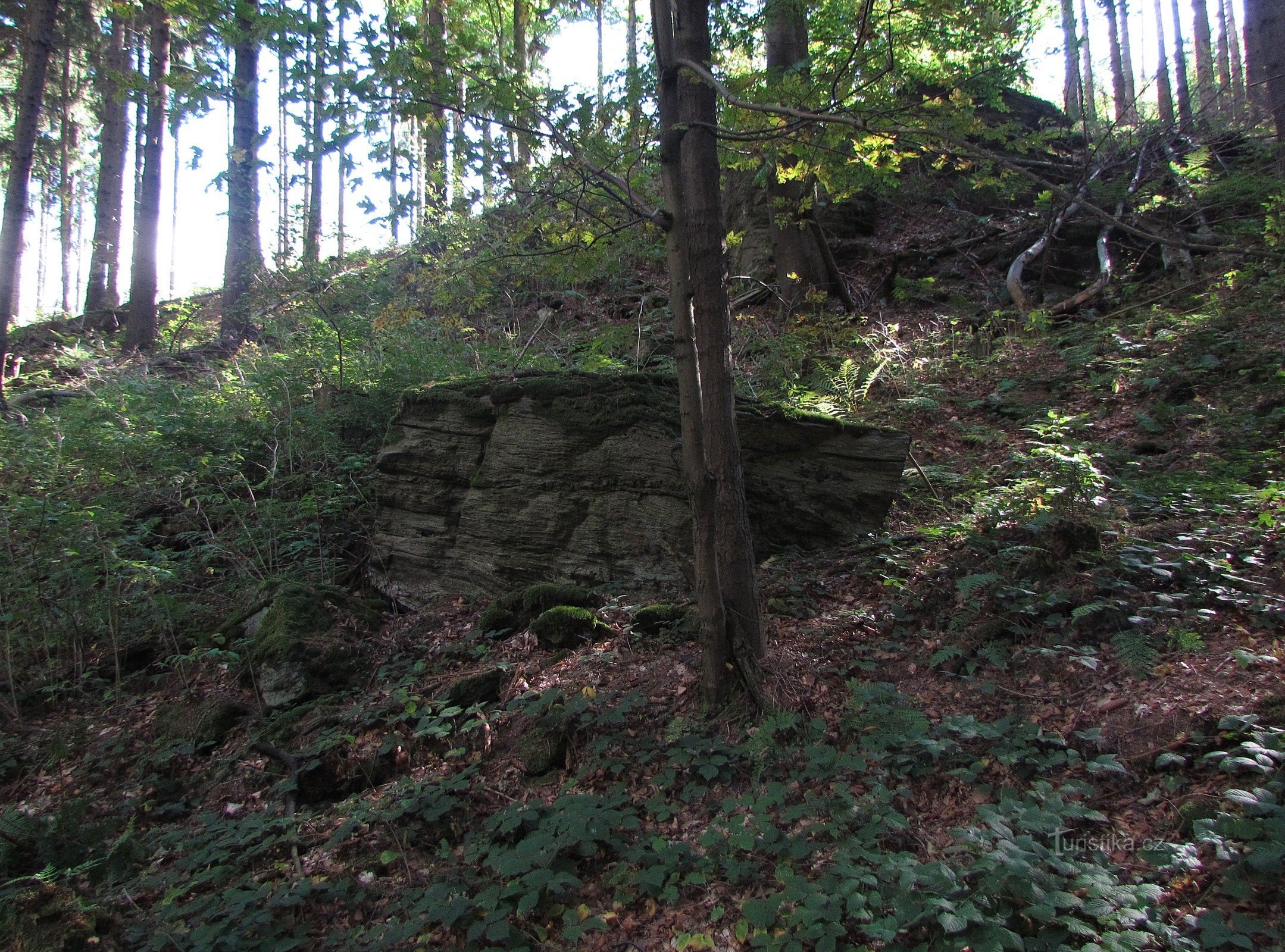 Hemmeligheder i Franz-Franz naturreservat