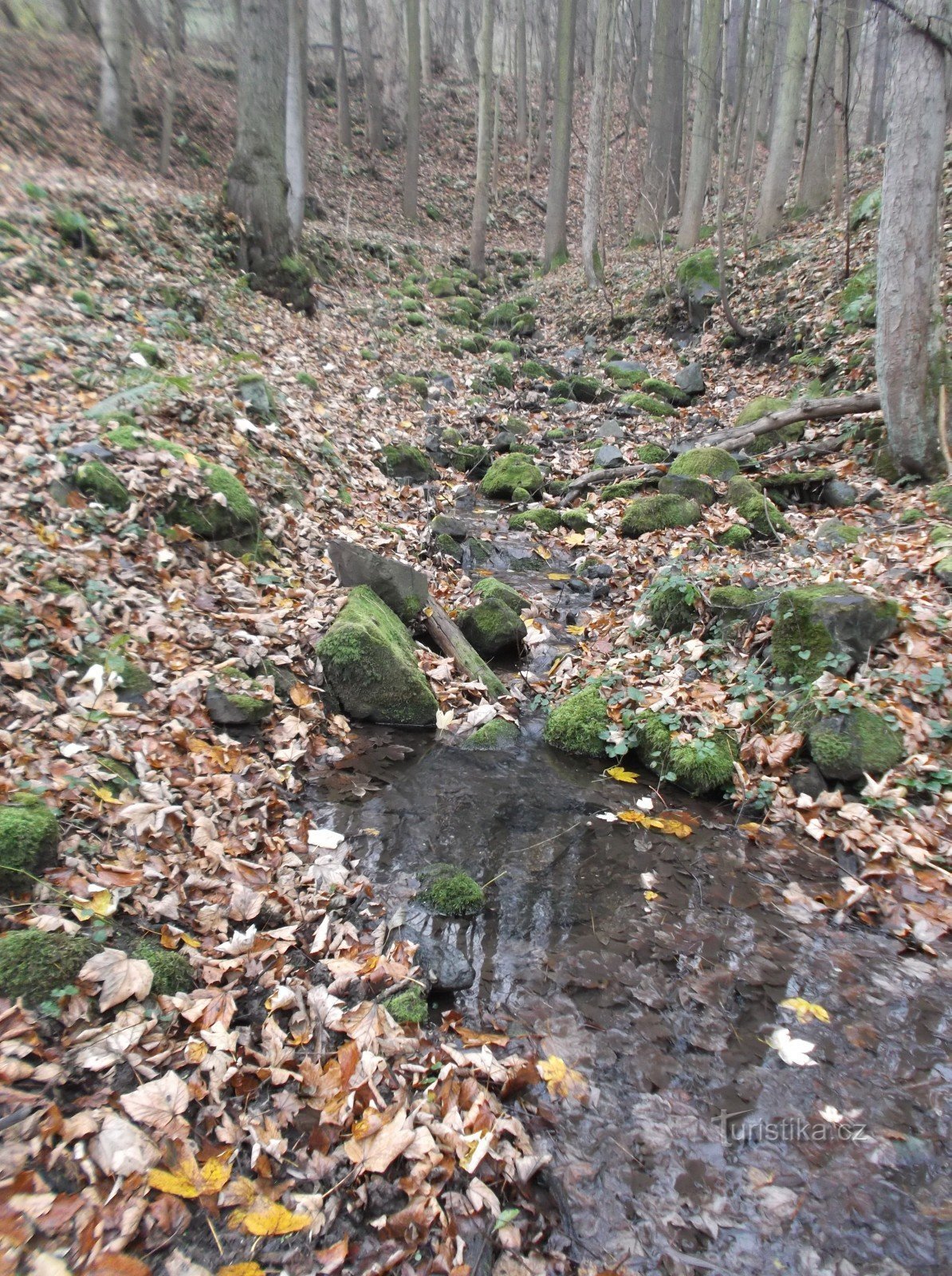 Cascate di Tambus