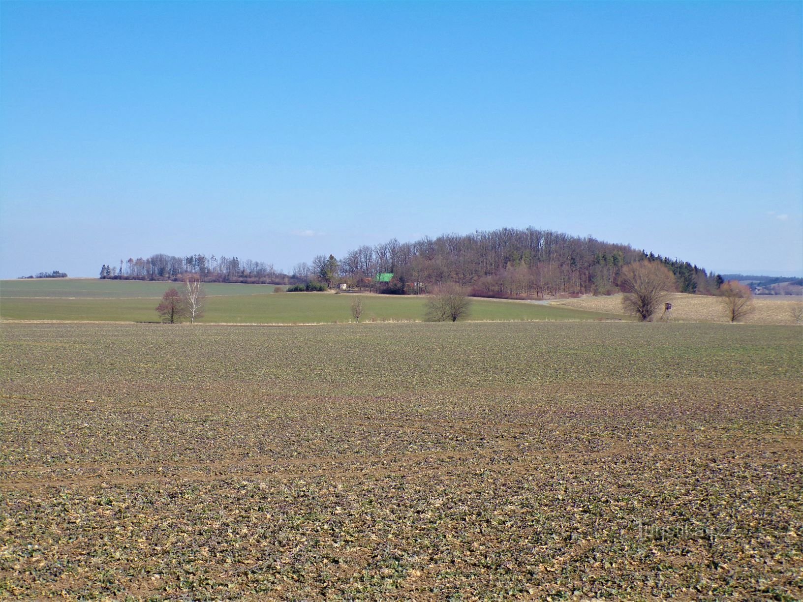 Taustalla vasemmalla Tanaborek ja Lipkan metsä (Librantice, 13.3.2020)