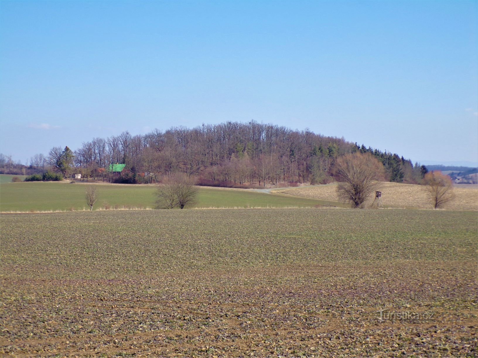 Tanaborek (Librantice, 13.3.2020)