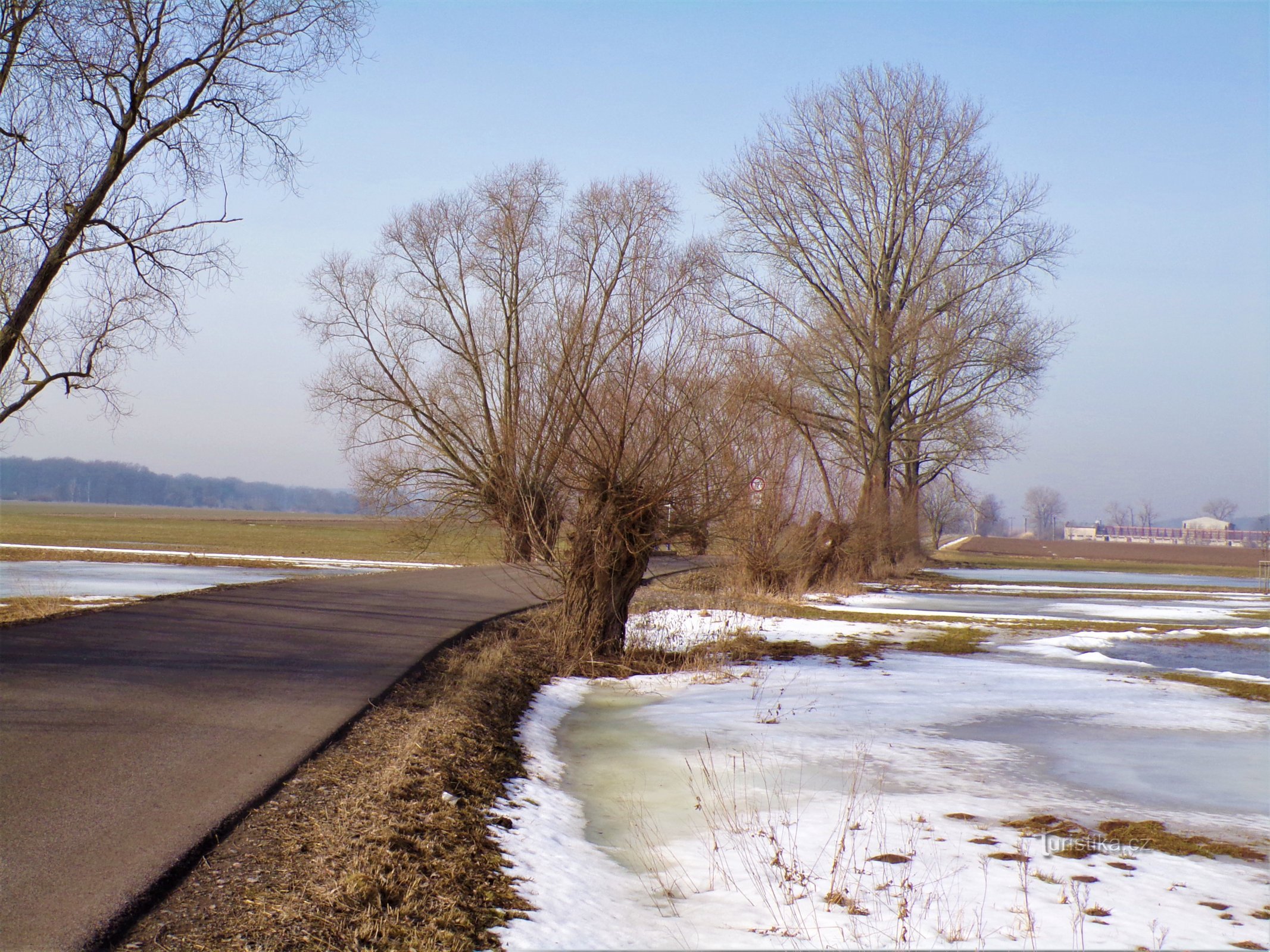 Scioglimento della neve a Bystřice e Klenické svodnice (Mokrovousy, 24.2.2021/XNUMX/XNUMX)